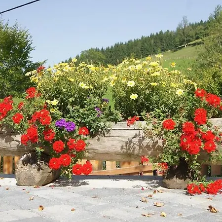 Gasthof Forellenhof Apartament