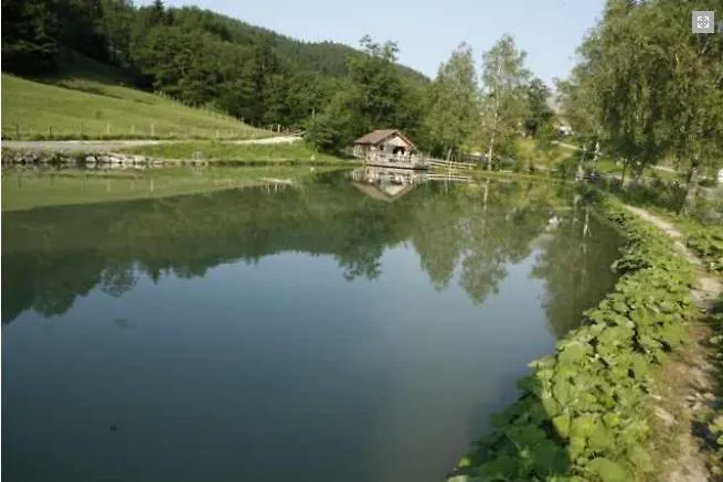 Daire Gasthof Forellenhof Laussa